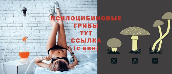 дурь Богородск