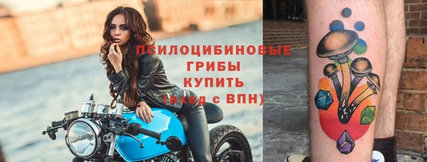 кокаин Богданович