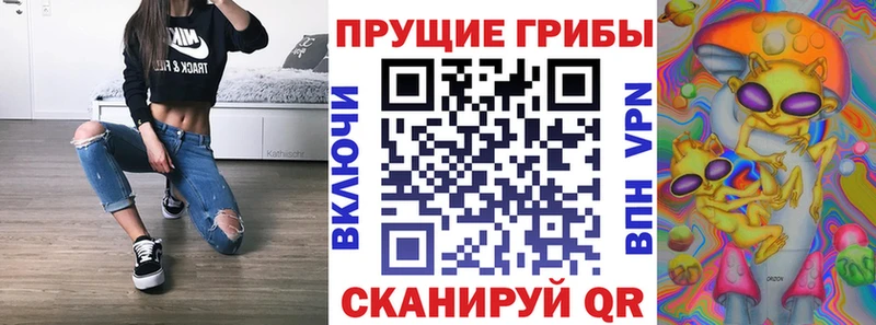 Псилоцибиновые грибы Psilocybine cubensis  где продают наркотики  omg зеркало  Княгинино 