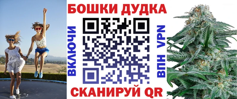 Бошки марихуана SATIVA & INDICA  как найти закладки  Княгинино 